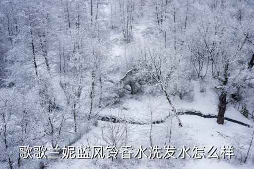 歌歌兰妮蓝风铃香水洗发水怎么样