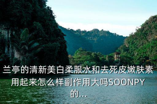 兰亭的清新美白柔服水和去死皮嫩肤素用起来怎么样副作用大吗SOONPY的...