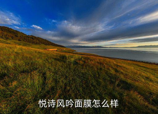 悦诗风吟面膜怎么样