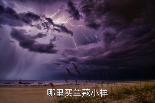 哪里买兰蔻小样