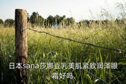 日本sana莎娜豆乳美肌紧致润泽眼霜好吗