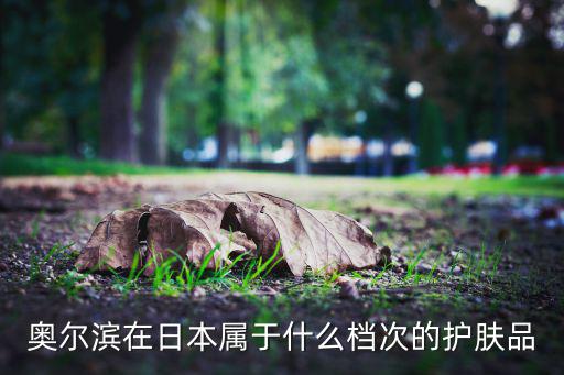 奥尔滨怎么代理,澳尔滨哪里买