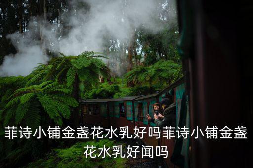 菲诗小铺遮瑕膏怎么样