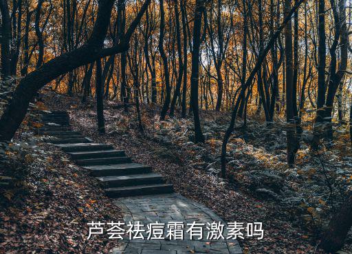 芦荟祛痘霜怎么样,芦荟面霜可以祛痘吗