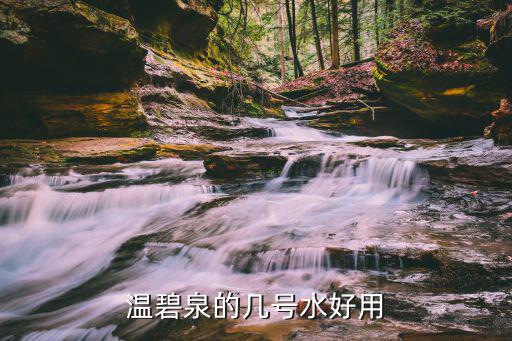 温碧泉的几号水好用