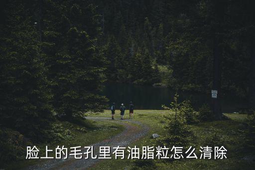 脸上的毛孔里有油脂粒怎么清除