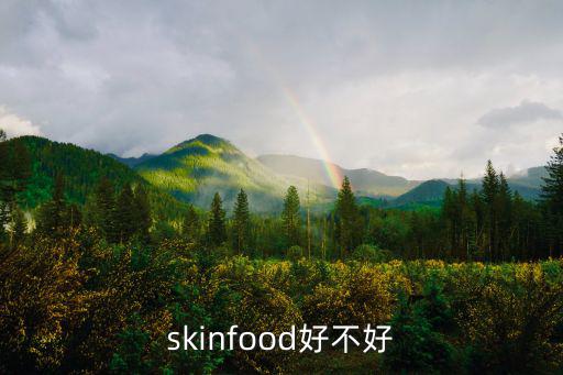 skinfood好不好