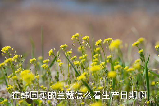 在韩国买的兰蔻怎么看生产日期啊