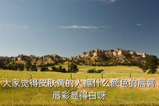 大家觉得皮肤黄的人擦什么颜色的唇膏唇彩显得白呀