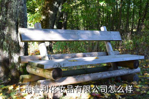 上海睿利化妆品有限公司怎么样