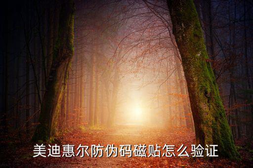 美迪惠尔防伪码磁贴怎么验证