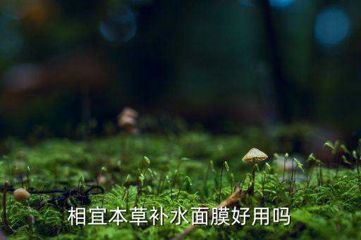 本草补水面膜怎么样,两款面膜都挺好用的!