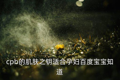 肌肤之匙的面膜怎么样,时光之匙面膜好用吗