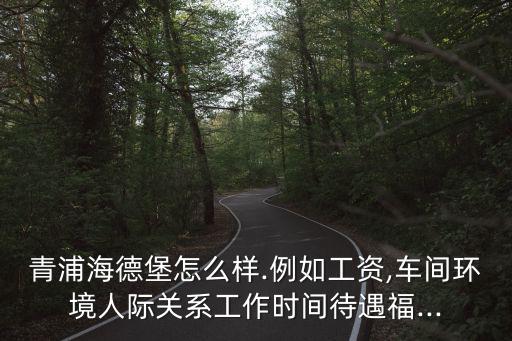 青浦海德堡怎么样.例如工资,车间环境人际关系工作时间待遇福...