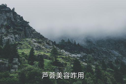 芦荟美容咋用