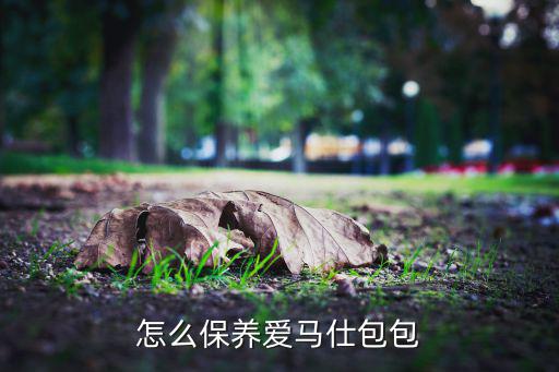 怎么保养爱马仕包包