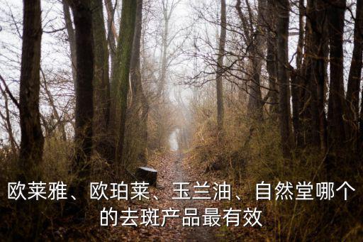 欧莱雅、欧珀莱、玉兰油、自然堂哪个的去斑产品最有效