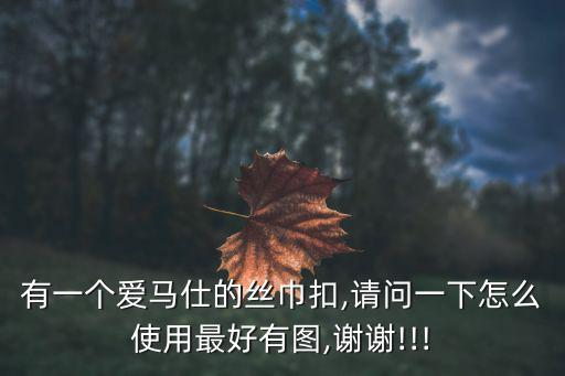 有一个爱马仕的丝巾扣,请问一下怎么使用最好有图,谢谢!!!