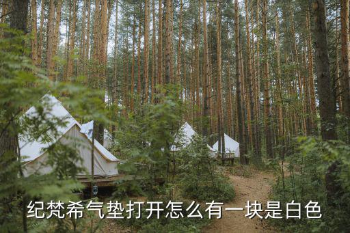 纪梵希气垫打开怎么有一块是白色