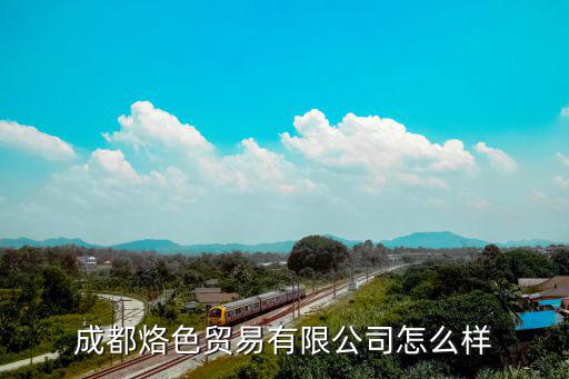 成都烙色贸易有限公司怎么样