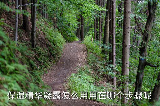 保湿精华凝露怎么用用在哪个步骤呢