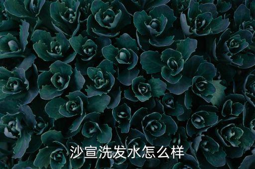 沙宣洗发水怎么样