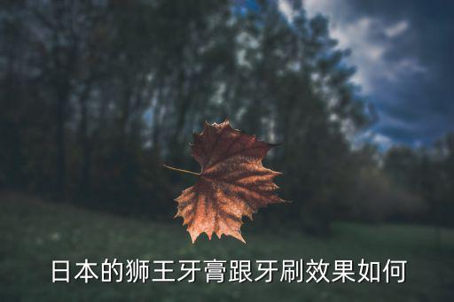 日本的狮王牙膏跟牙刷效果如何