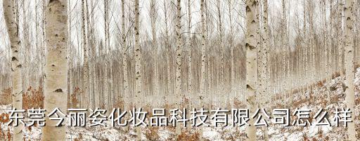 丽姿化妆品怎么样,丽姿美妆有限公司