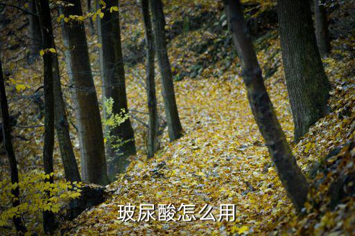 玻尿酸源液怎么用,玻尿酸精华液怎么用?别慌!