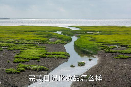 完美日记化妆品怎么样