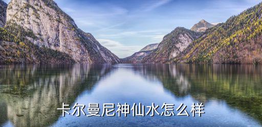 卡尔曼尼神仙水怎么样