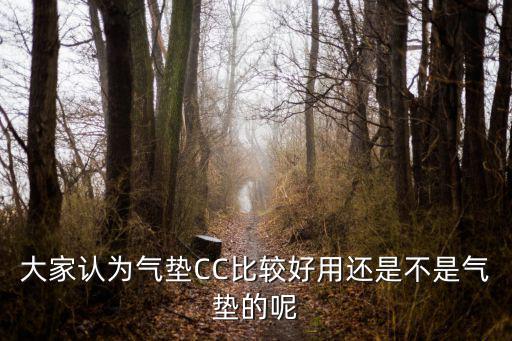 大家认为气垫CC比较好用还是不是气垫的呢