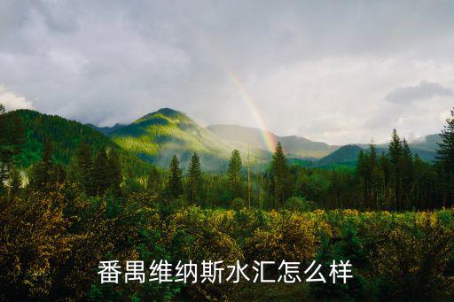 番禺维纳斯水汇怎么样
