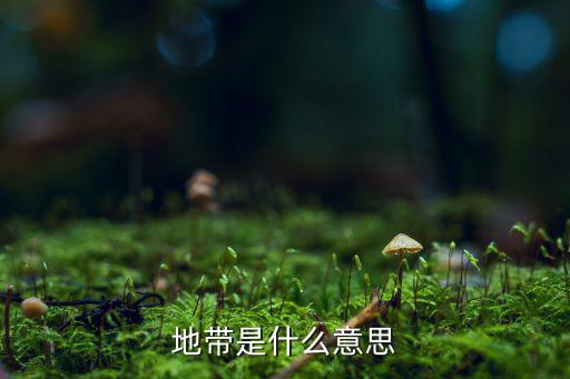 地带是什么意思