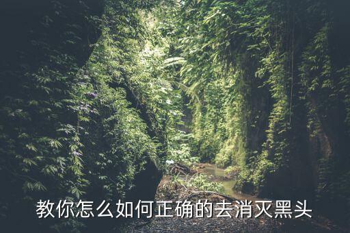 教你怎么如何正确的去消灭黑头