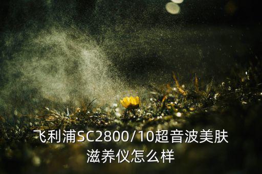 飞利浦滋养仪怎么样,飞利浦超音波美肤滋养仪怎么样?看这里!