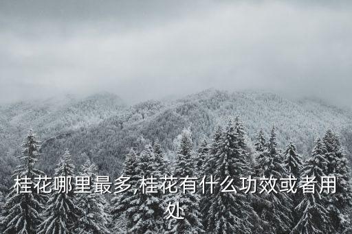 桂花哪里最多,桂花有什么功效或者用处