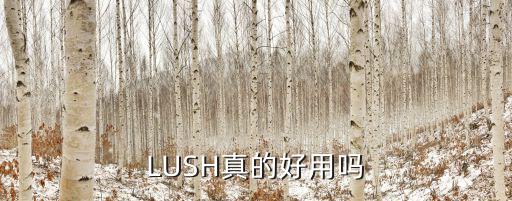 LUSH真的好用吗
