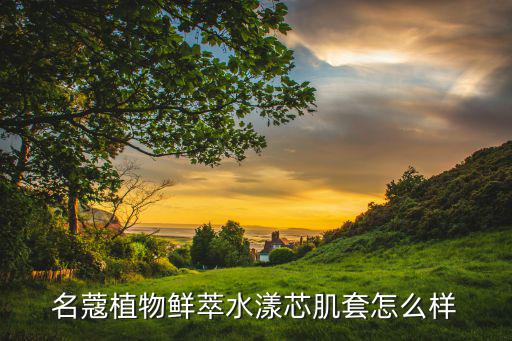 名蔻植物鲜萃水漾芯肌套怎么样