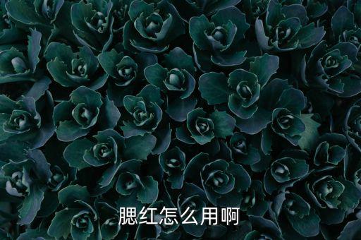 腮红怎么用啊