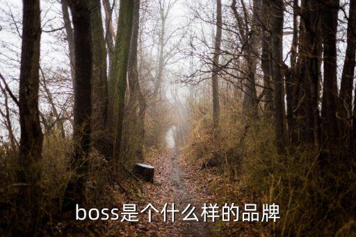 hugo boss 怎么样,你知道这个牌子有多厉害吗?