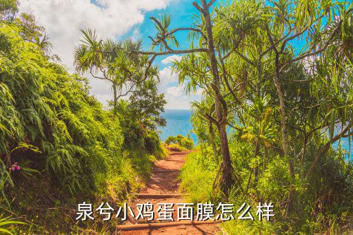 泉兮小鸡蛋面膜怎么样