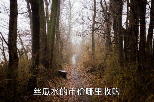 丝瓜水的市价哪里收购