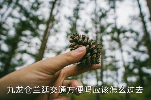 上海兰廷化妆品有限公司怎么样,九龙仓兰廷房价为什么那么贵?