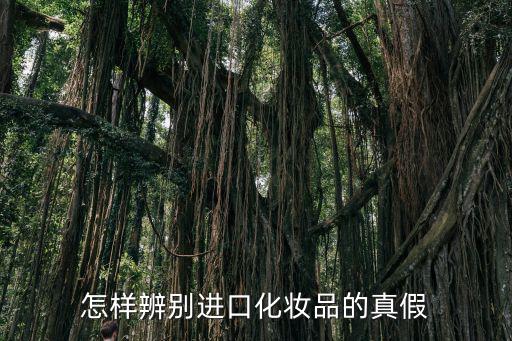 怎样辨别进口化妆品的真假