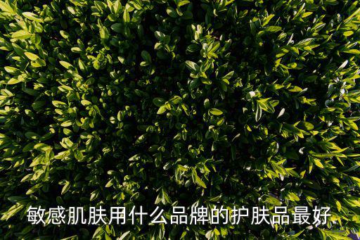 敏感肌肤用什么品牌的护肤品最好