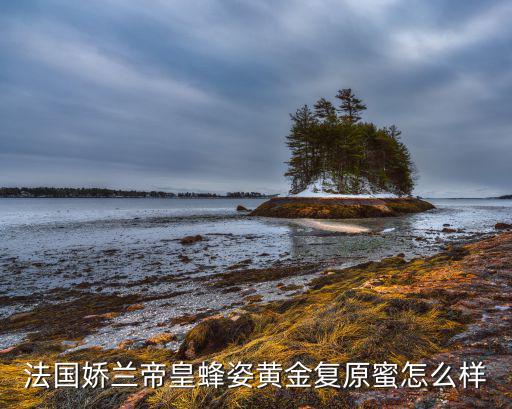 法国娇兰帝皇蜂姿黄金复原蜜怎么样