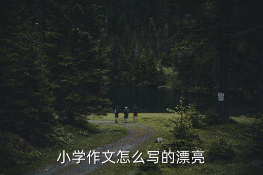 小学作文怎么写的漂亮