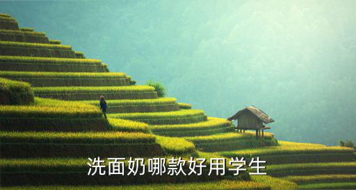 美加净珍米洗面奶怎么,洗面奶要怎么用才是正确方法