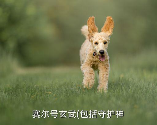 赛尔号玄武(包括守护神